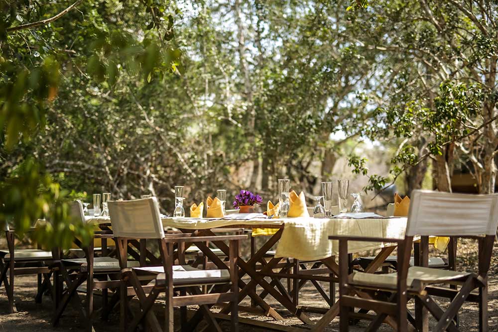 Alfresco dining table set in the forest